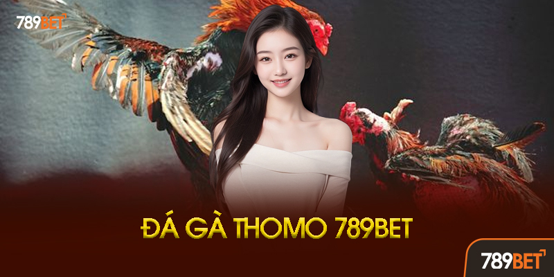 Đá Gà Thomo 789BET - Trực Tiếp Từ Campuchia, Cược Gà Ăn Tiền Thật! 3 Kinh Nghiệm Xem Kèo Đá Gà Thomo Chuẩn Xác
